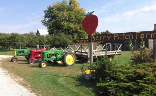 Two vintage tractors parked near a sign for Berry Patch Farm, surrounded by greenery and a clear blue sky.