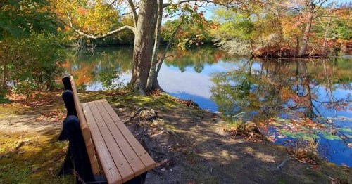 A wooden bench by a serene lake surrounded by colorful autumn foliage and clear blue skies.