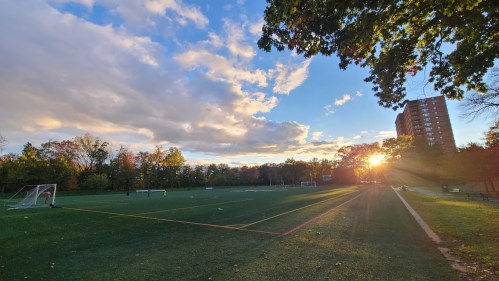 A sunset over a soccer field, with trees in the background and a tall building on the right.