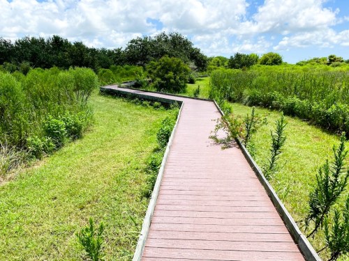 A winding wooden boardwalk through lush green grass and shrubs under a partly cloudy sky.