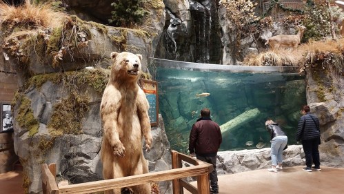 A bear statue stands near a large aquarium with people observing fish and a rocky, naturalistic backdrop.