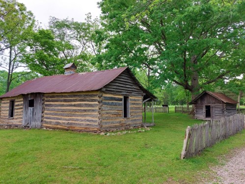 A rustic log cabin with a metal roof, surrounded by greenery and a small shed nearby.