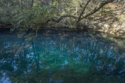 A serene, clear blue pond surrounded by trees and lush greenery, reflecting the landscape above.