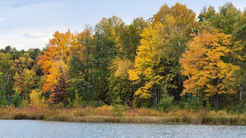 Colorful autumn trees line a serene lake, reflecting vibrant yellows, oranges, and greens under a cloudy sky.