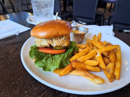 A plate with a chicken burger topped with lettuce and tomato, served with a side of golden fries and a small dipping sauce.