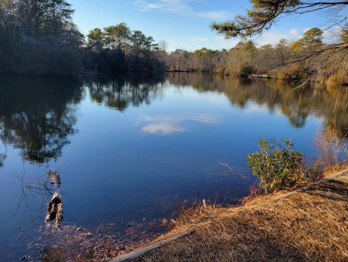 A serene lake surrounded by trees, reflecting the sky and foliage, with a grassy shore in the foreground.