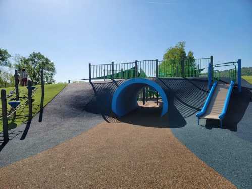 A colorful playground with slides, climbing structures, and a tunnel, set against a clear blue sky and green trees.