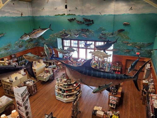 A spacious store with a marine-themed mural and large fish models hanging from the ceiling, showcasing various merchandise.