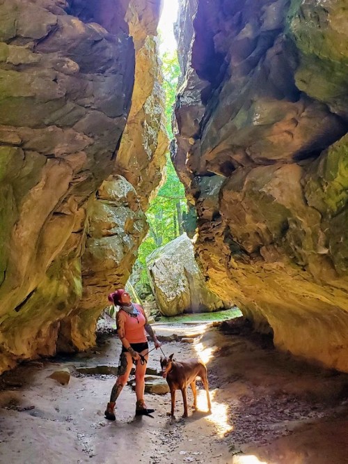 A person with a dog stands between two large rock formations in a sunlit forest.