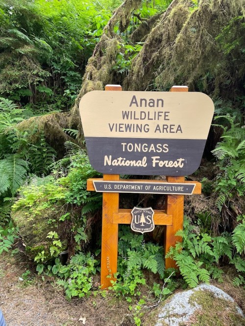 Sign for Anan Wildlife Viewing Area in Tongass National Forest, surrounded by lush greenery and ferns.
