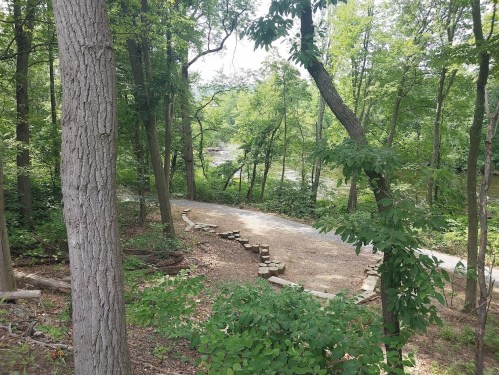 A serene forest scene with trees, a winding path, and a river visible in the background.