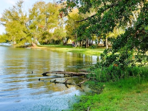 A serene lakeside scene with trees, green grass, and calm water reflecting the surroundings.