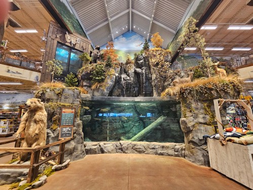 A large indoor display featuring a rocky landscape with taxidermy animals and a water tank, resembling a natural habitat.