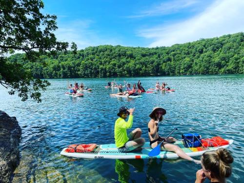 A group of people paddleboarding on a calm lake surrounded by lush green trees under a clear blue sky.
