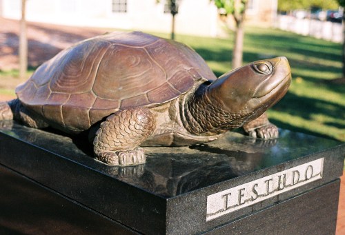 A bronze sculpture of a turtle on a black pedestal, with the word "TESTUDO" engraved on the front.