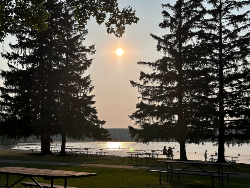 Sunset over a lake, framed by tall trees and picnic tables, with silhouettes of people enjoying the serene view.