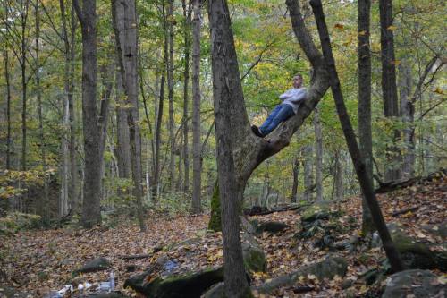 A person sits on a large tree branch in a forest with autumn foliage and rocky ground.
