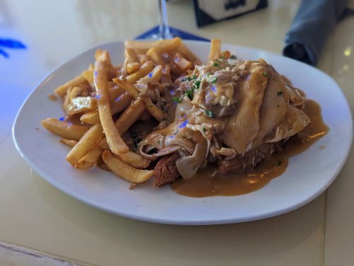A plate of fries with a serving of meat topped with gravy and herbs on a slice of bread.