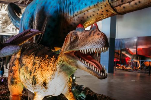 A colorful dinosaur exhibit featuring a large dinosaur in the background and a smaller, fierce-looking dinosaur in the foreground.