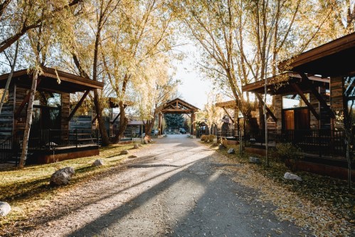 A serene pathway lined with trees and rustic cabins, illuminated by warm sunlight in a tranquil outdoor setting.