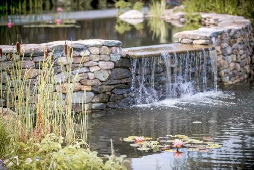 A serene pond with a stone waterfall, surrounded by lush greenery and blooming water lilies.