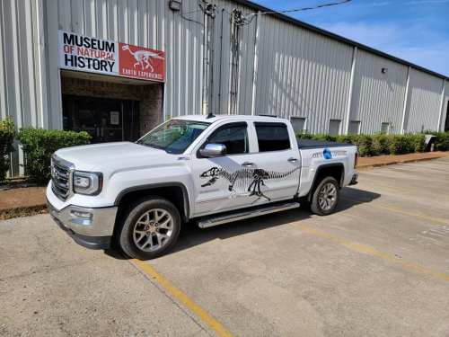 A white pickup truck with a dinosaur graphic parked outside the Museum of Natural History on a sunny day.