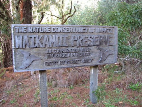 Wooden sign for Waikamoi Preserve, stating it's managed by The Nature Conservancy of Hawaii and Haleakalā Ranch Co.