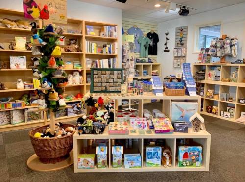 A cozy store display featuring shelves of books, toys, and nature-themed items, with a tree of plush birds in the center.