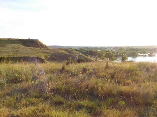 A scenic view of rolling hills and a river, with tall grass and trees under a bright sky.