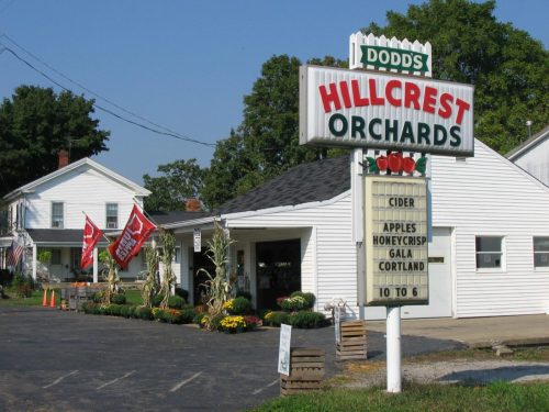 Sign for Dodds Hillcrest Orchards with listings for cider and apples, featuring a white building and autumn decorations.