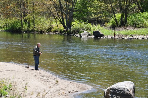 A person stands by a riverbank, fishing in a serene natural setting with trees and greenery in the background.