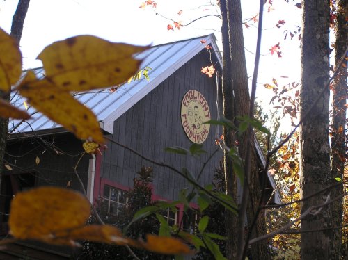 A rustic building with a round sign, surrounded by autumn leaves and trees, under a bright sky.