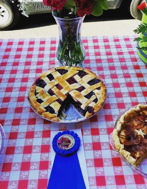 A freshly baked pie with a lattice crust sits on a checkered tablecloth, alongside a blue ribbon and a vase of flowers.