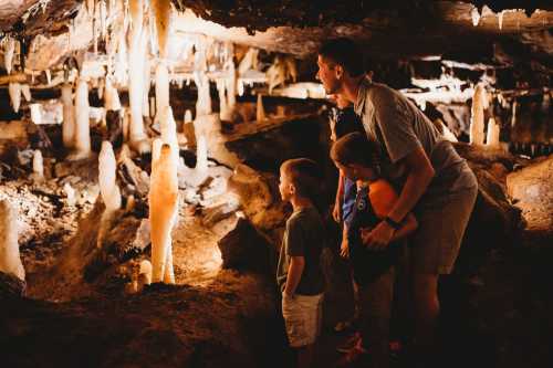 A group of children and an adult explore a cave, admiring the stalactites and stalagmites illuminated by soft lighting.