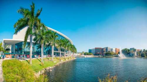 A modern building by a lake, surrounded by palm trees and a fountain, under a clear blue sky.