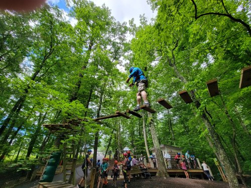 A person balances on a wooden plank high above the ground in a forest, with a crowd watching below.