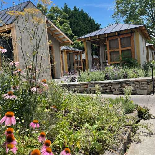 A pathway leads through a garden with colorful flowers, flanked by modern buildings with wooden accents and a clear blue sky.