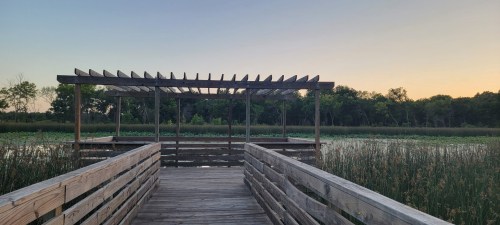 A wooden dock extends into a serene wetland, framed by lush greenery and a soft sunset sky.