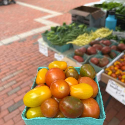 A close-up of a small container filled with colorful cherry tomatoes, with a market backdrop of fresh produce.