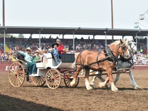 A horse-drawn carriage with people waving, surrounded by a crowd at an outdoor event.