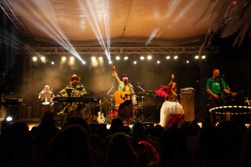 A lively band performs on stage with instruments, colorful costumes, and bright lights, entertaining a cheering crowd.