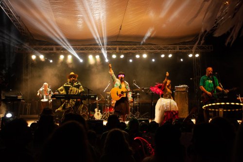 A lively band performs on stage with instruments, colorful costumes, and bright lights, entertaining a cheering crowd.