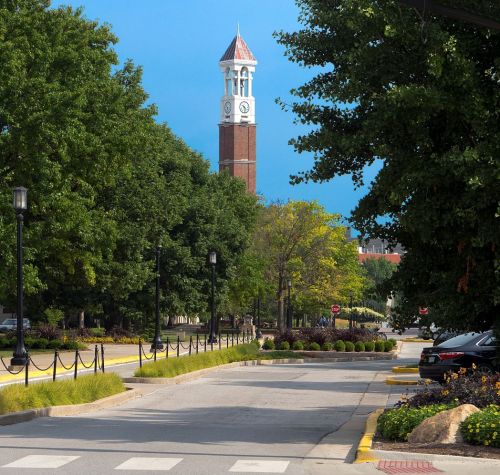 A tree-lined street leads to a clock tower under a blue sky, with parked cars and colorful landscaping along the road.