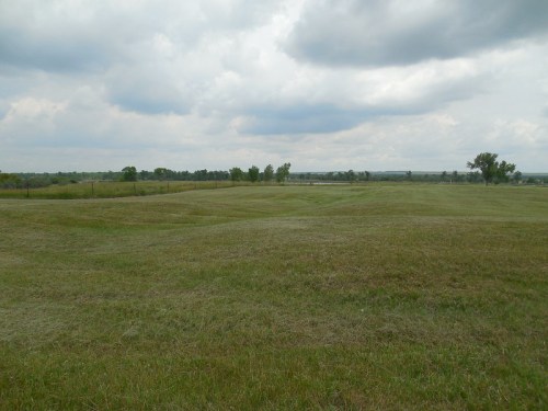 A grassy landscape under a cloudy sky, with gentle hills and a distant tree line.