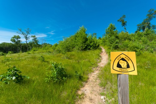 A sunny path leads into a green landscape, marked by a sign for the Ice Age Trail.