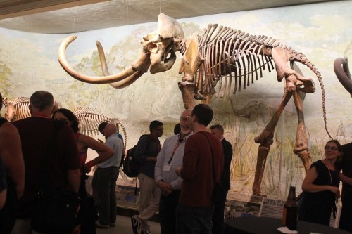A crowd mingles in a museum, featuring a large mammoth skeleton in the background against a mural.
