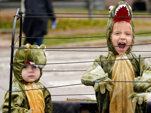 Two children in dinosaur costumes, one smiling and the other looking serious, playfully enclosed in a wire frame.