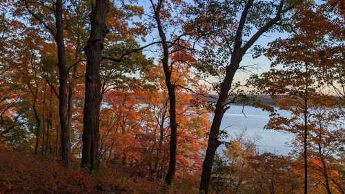 A serene view of a lake surrounded by trees with vibrant autumn foliage in shades of orange and red.