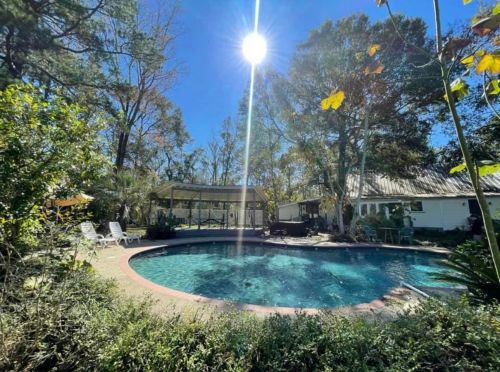 A sunny backyard with a circular pool surrounded by trees and lounge chairs, featuring a covered patio in the background.