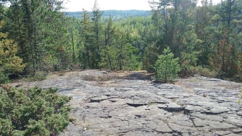 A rocky outcrop surrounded by lush green trees and a distant view of a forested landscape under a clear sky.